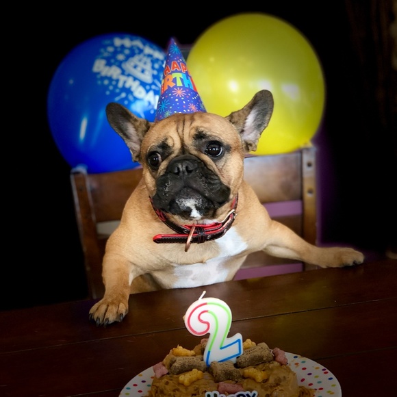 Meet your Posher, Tracy - Picture 5 of 15